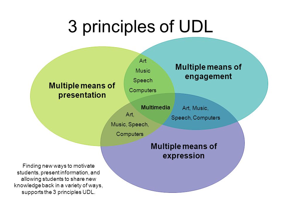 Differentiated Instruction And The Udl Principles